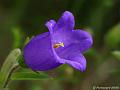 GB000556cx-800x600-10