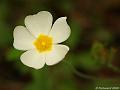 GB001397cx-800x600-11