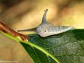 GB002733dx-800x600-08