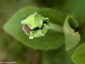 GB007557ex-800x600-11