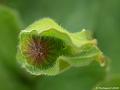 GB007565cx-800x600-11